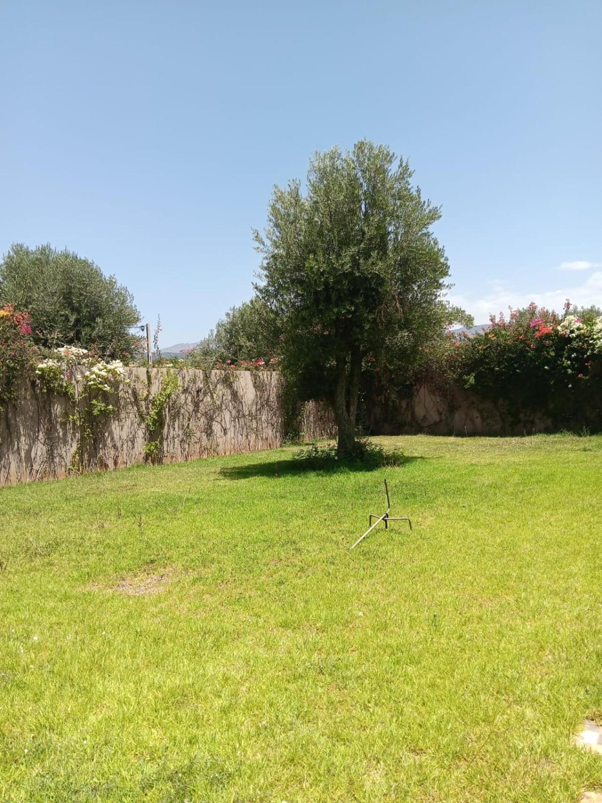 Villa Jamel Marrakech Zac 마라케시 외부 사진